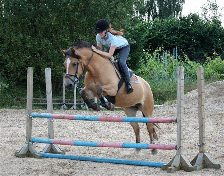 Anden særlig race Golden Lady ''solgt'' <3 - Golden og jeg spring juli 2011 billede 1