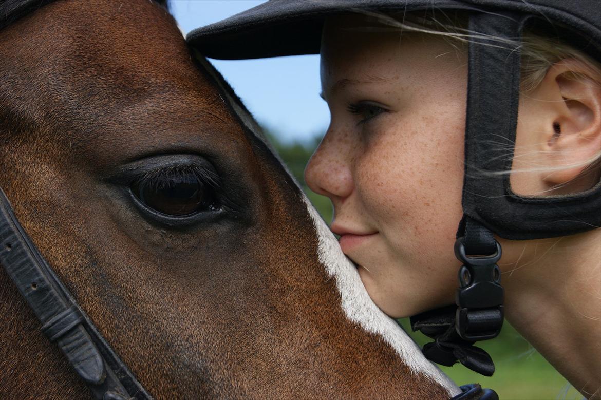 Welsh Pony (sec B) Søborggårds Romance *part* :D <3 - Et billede siger mere en 1000 ord! :) Fordi man ikke kan andet end at elske dig! <3 billede 1