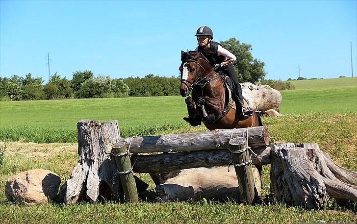 Welsh Pony (sec B) Søborggårds Romance *part* :D <3 - Ridelejr på SØG - terræn! :D Fordi man ikke kan andet end at elske dig! <3 billede 11