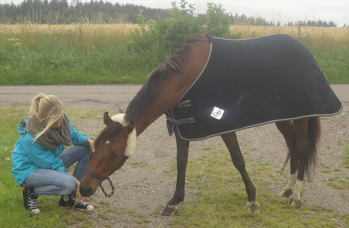 Anden særlig race Quick Brown Lady Z <3 - Qblz og mig ude og gå tur (-; <3 (Foto: Marlene) billede 17