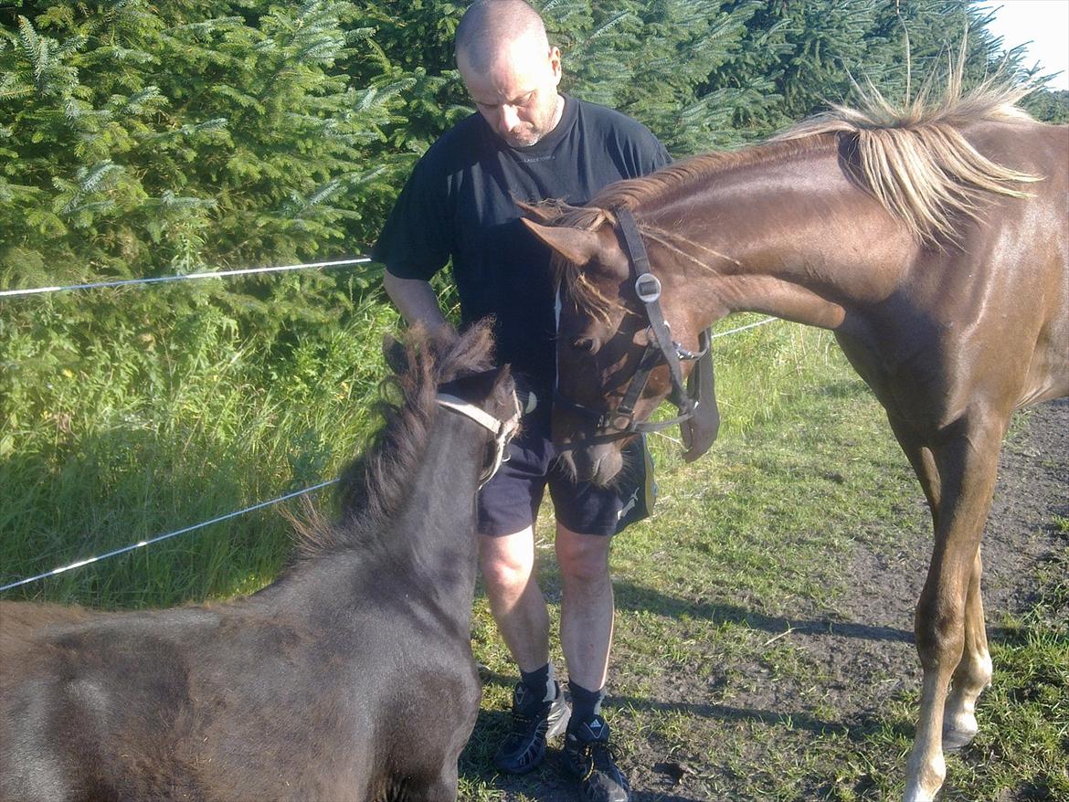 DSP Bentzens Baloo - Hey hvad har du der. billede 14