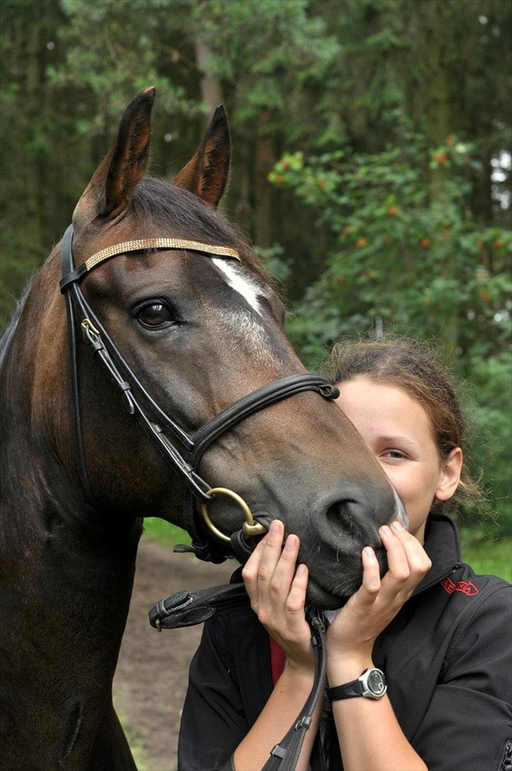 New Forest Elmholts Education A-pony (solgt) - 30.07.11 Sverige - Fantastisk weekend. Elsker Eddie<3 © Foto Jan Vleugel billede 9