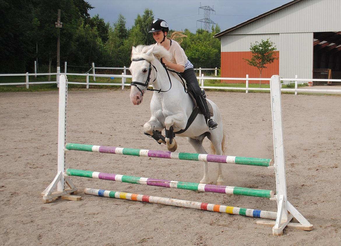 Anden særlig race Sir Camelot - D. 31/7 2011, på besøg hos Camelot og Maya!! ½ år siden jeg sidst havde sat på ham... han var så dejlig :') foto: mor billede 2