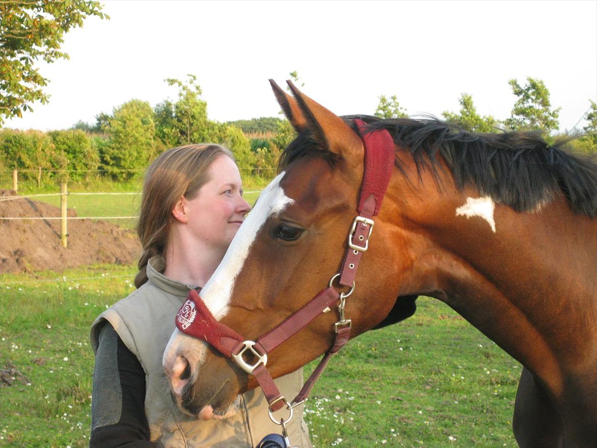 Pinto Nymarksgaards Montoya billede 5