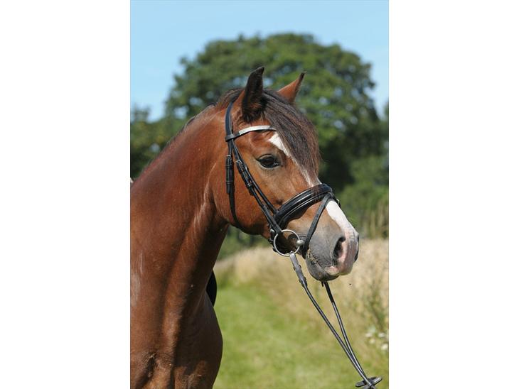 {{currentPhoto.altText}} billede {{currentPhoto.number}}