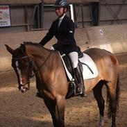 Anden særlig race Nala