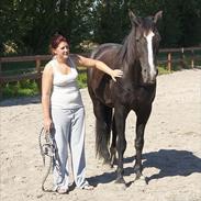 Oldenborg Vestergaard'ens Tüchen • R.I.P •