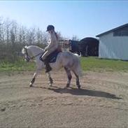 Anden særlig race Peter Pan <3