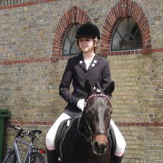 Anden særlig race Chago junior