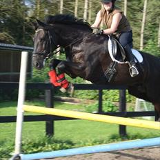 Anden særlig race Claudius