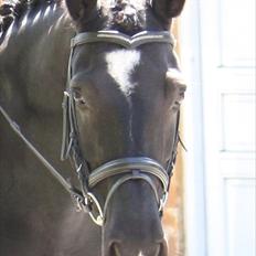 Oldenborg Smilla