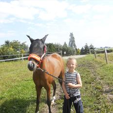 Anden særlig race Tika [tidligere låne pony] ;-(