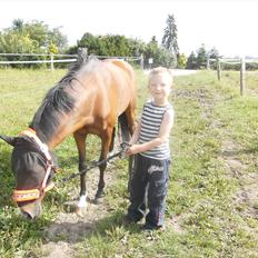 Anden særlig race Tika [tidligere låne pony] ;-(