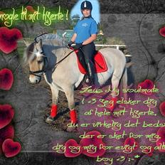 Fjordhest Zeus.<3 R.I.P D.23/5-13