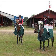 Tysk Sportspony Conchitta<3