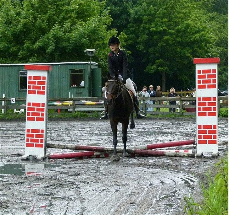 Anden særlig race Chago junior billede 2