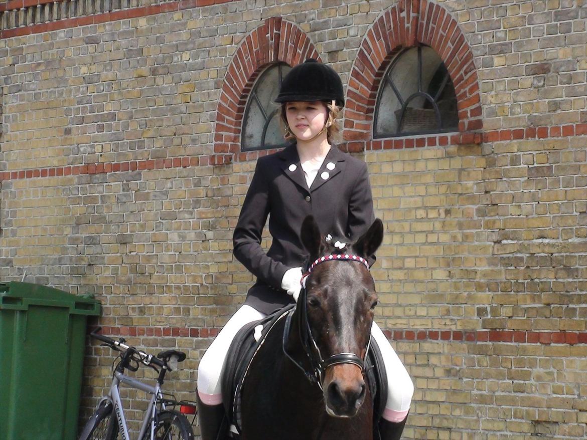 Anden særlig race Chago junior billede 3