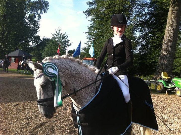Anden særlig race Carlo - SOLGT - 1. Velkommen til carlo´s profil :)

3.plads til DM i paradressur grad lll 2011<3  billede 9