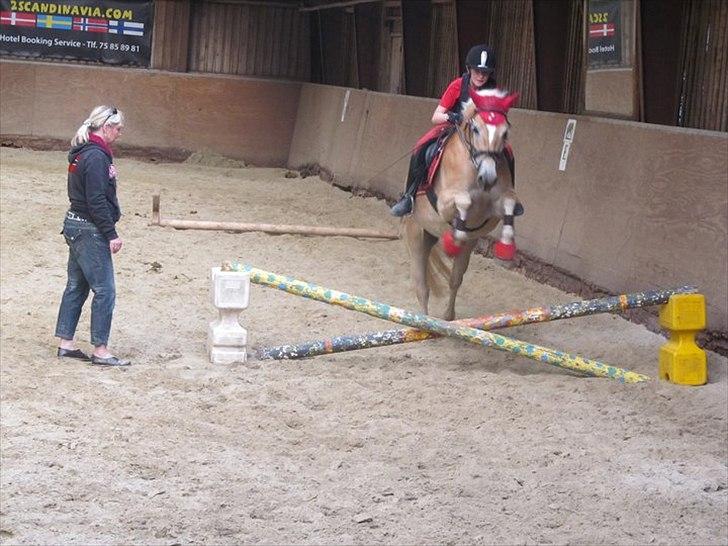 Haflinger Wictoria Sandagergaard - Springtræning med Wicce.  billede 11