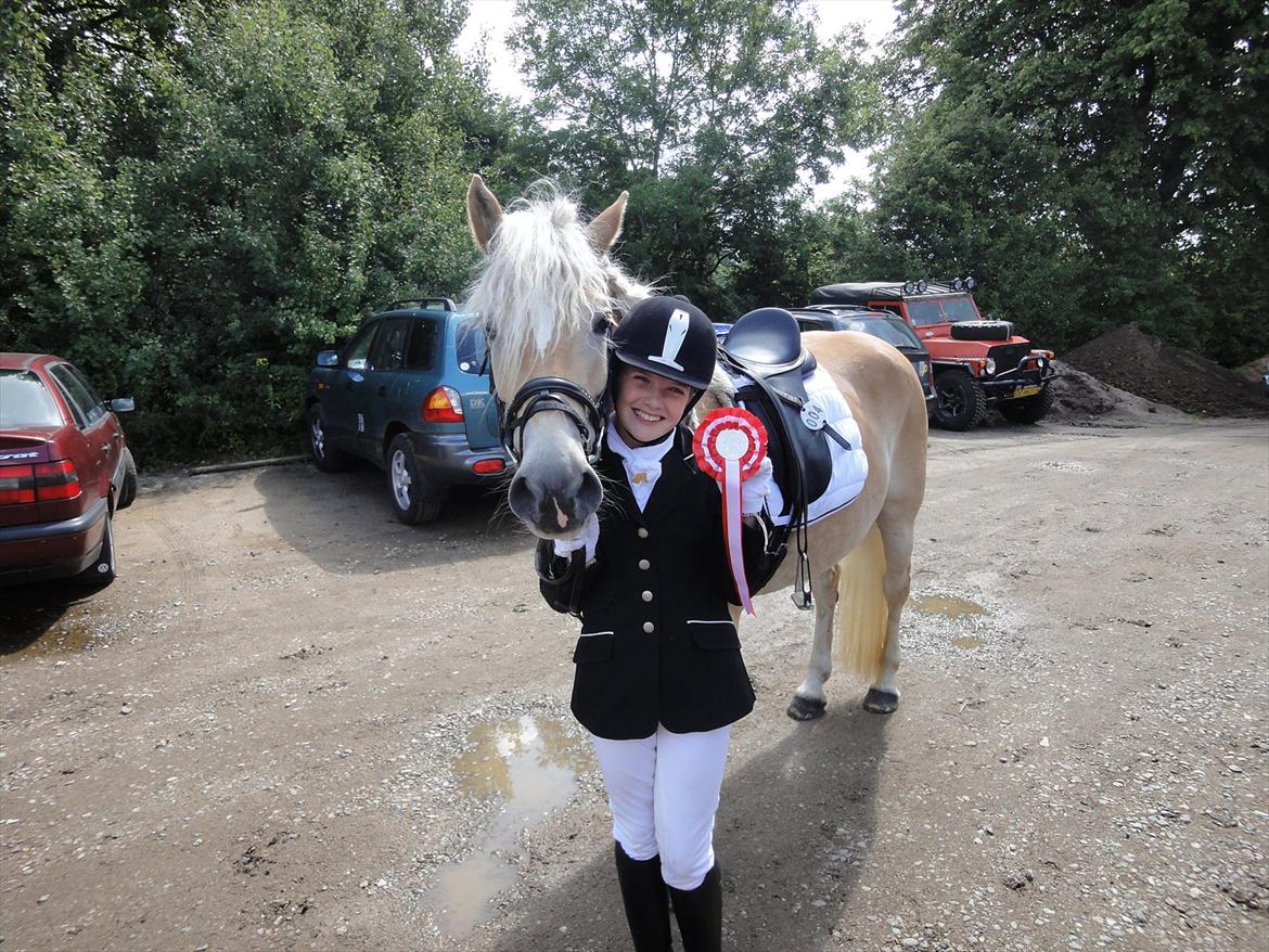 Haflinger Wictoria Sandagergaard - 1. plads med Wicce.  billede 6