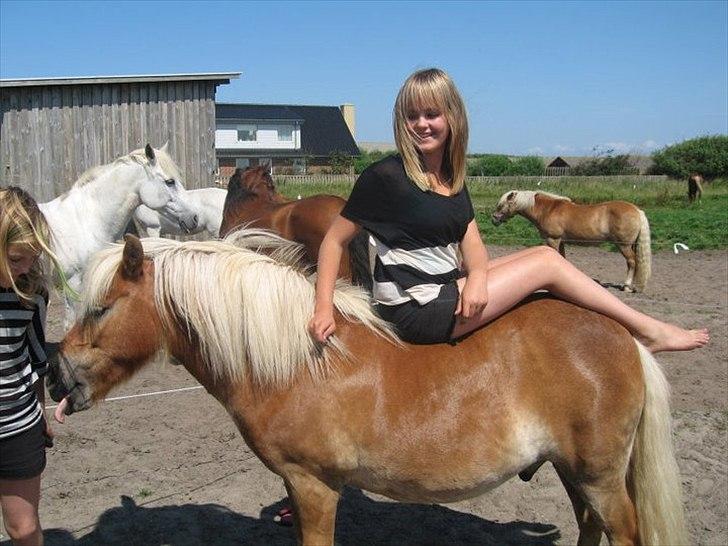 Anden særlig race Lukas - Hygge ude på folden, hos lukases nye ejer  billede 12