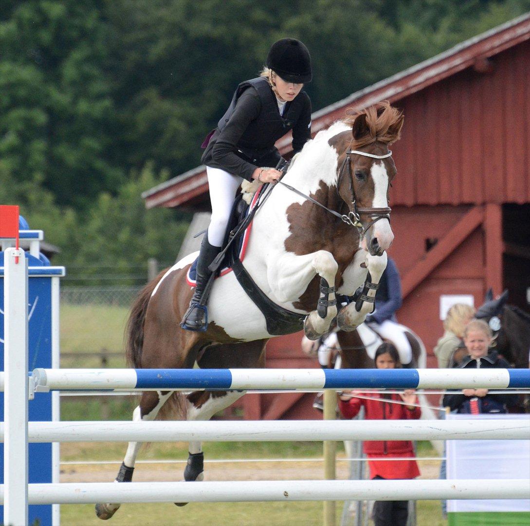 Anden særlig race Jessie *B-PONY*  - MA** 4 fejl juni 2011 billede 7