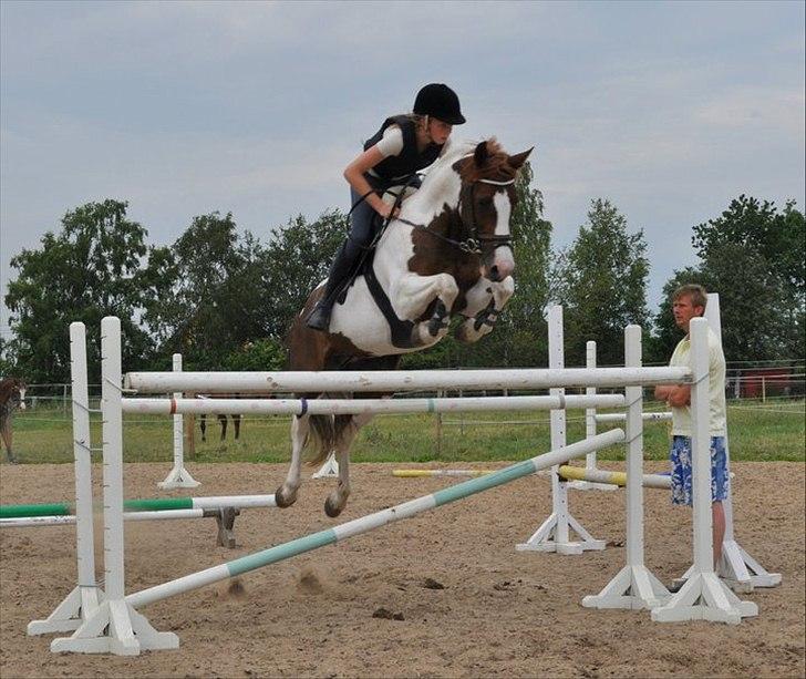 Anden særlig race Jessie *B-PONY*  - Jessie 130 cm ridelejr sommeren 2011 billede 9