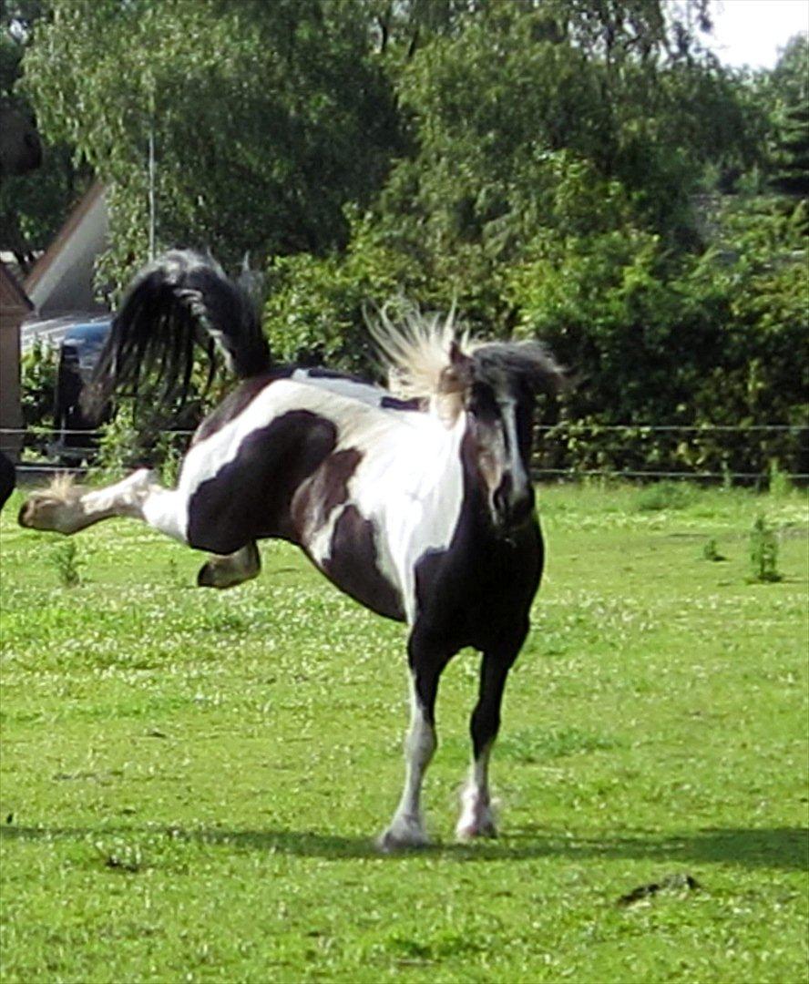 Tinker Nova billede 3