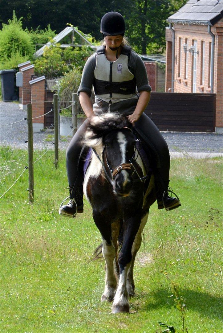 Tinker Nova billede 5