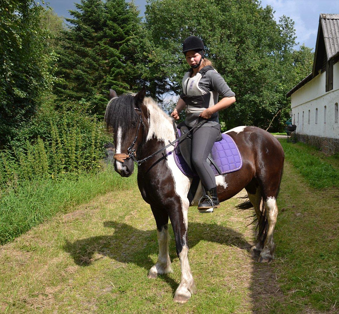 Tinker Nova billede 6