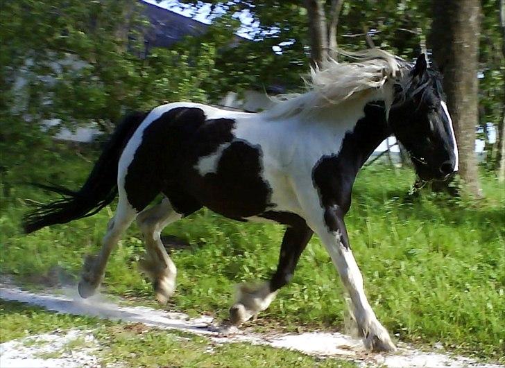 Tinker Nova billede 11