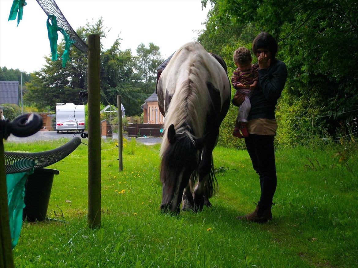 Tinker Nova billede 13