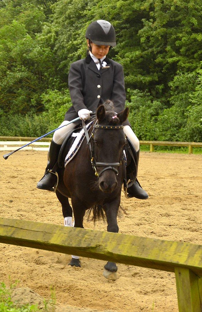 Shetlænder bs(har redet) - jytte og bs til pony uge 2011 i en ld2;D billede 11