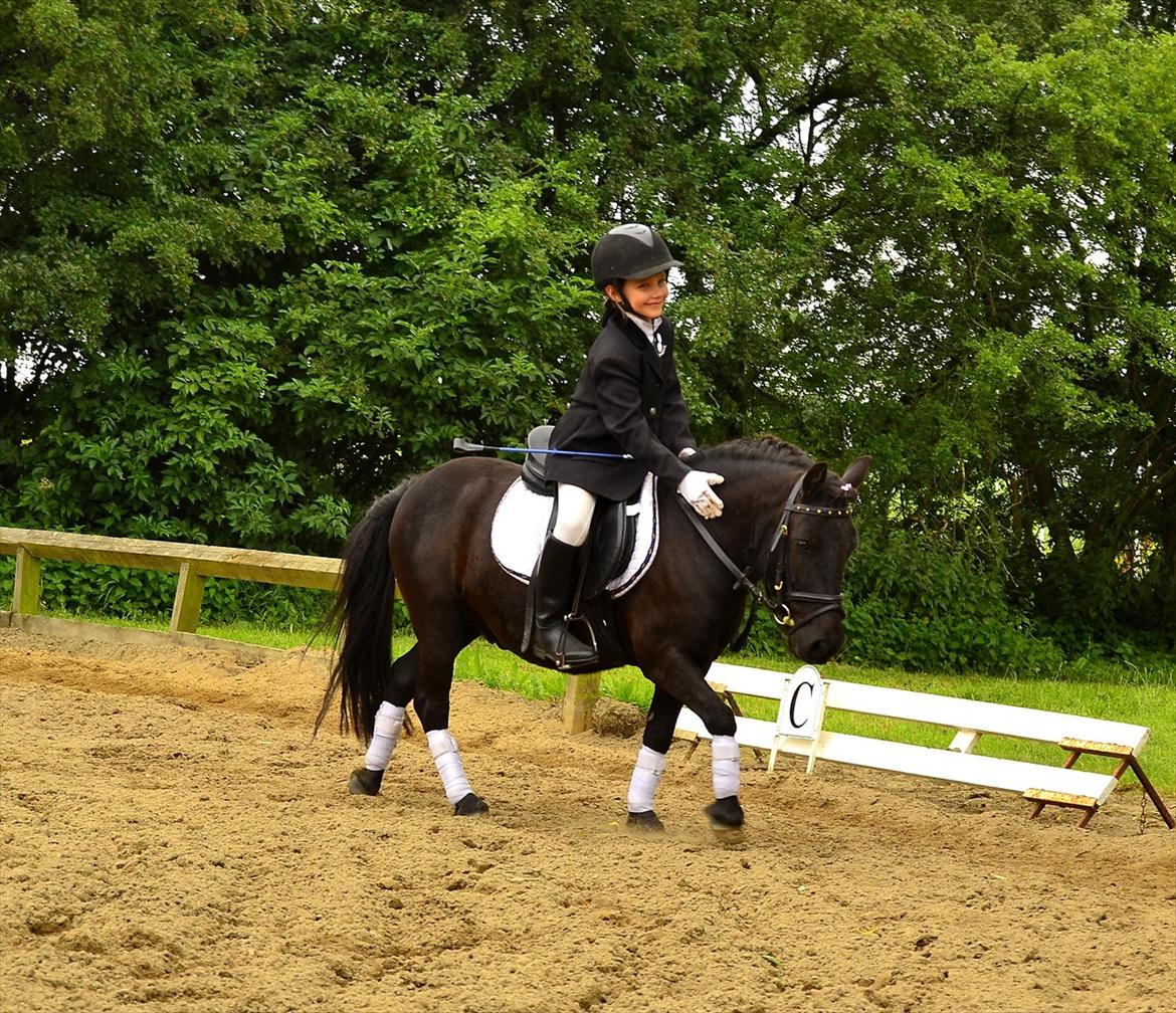 Shetlænder bs(har redet) - jytte og bs til pony uge 2011 ld2:D billede 20