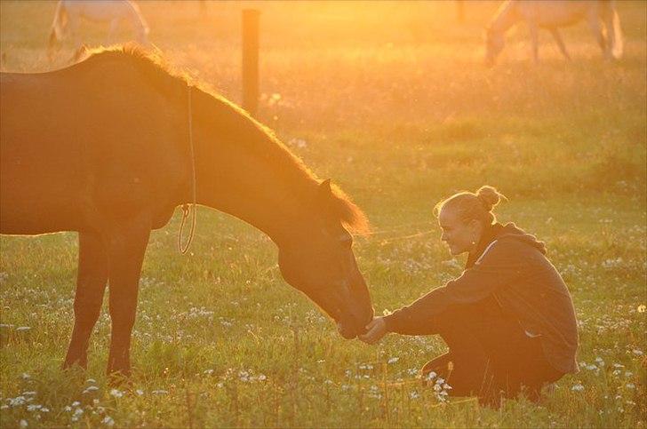 Anden særlig race Bip Bip - DRØMMEPONYEN - Memories is a way of holding onto the things you love, the things you are, the things you never want to lose.   billede 7