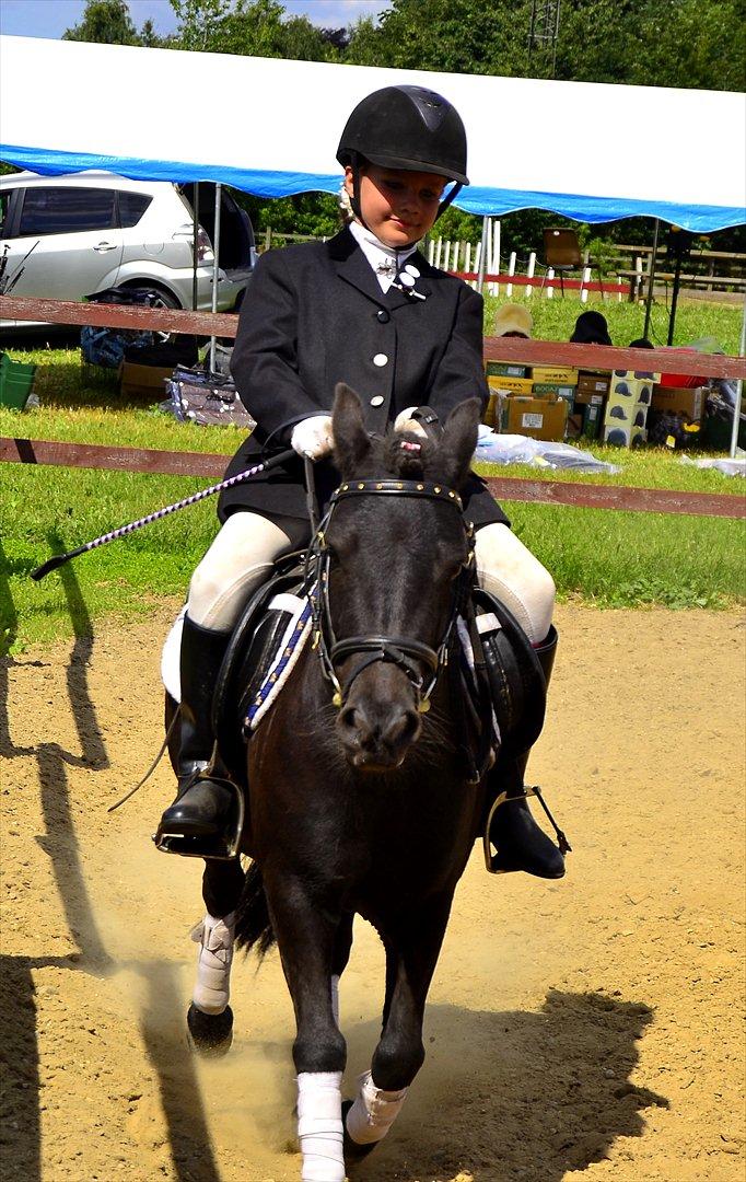 Shetlænder bs(har redet) - bs og jytte til pony uge 2011 billede 10