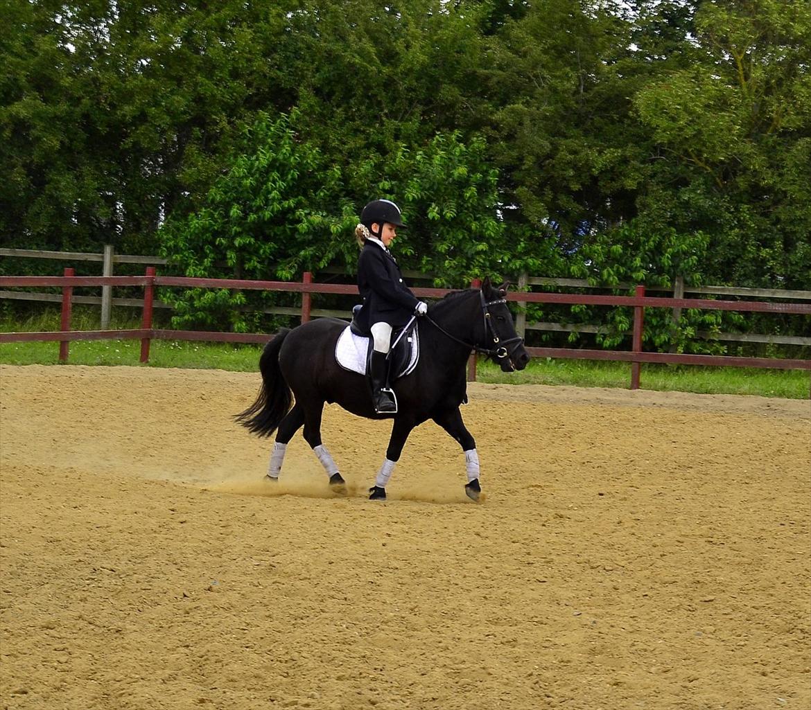 Shetlænder bs(har redet) - jytte og bs til pony uge 2011 billede 18