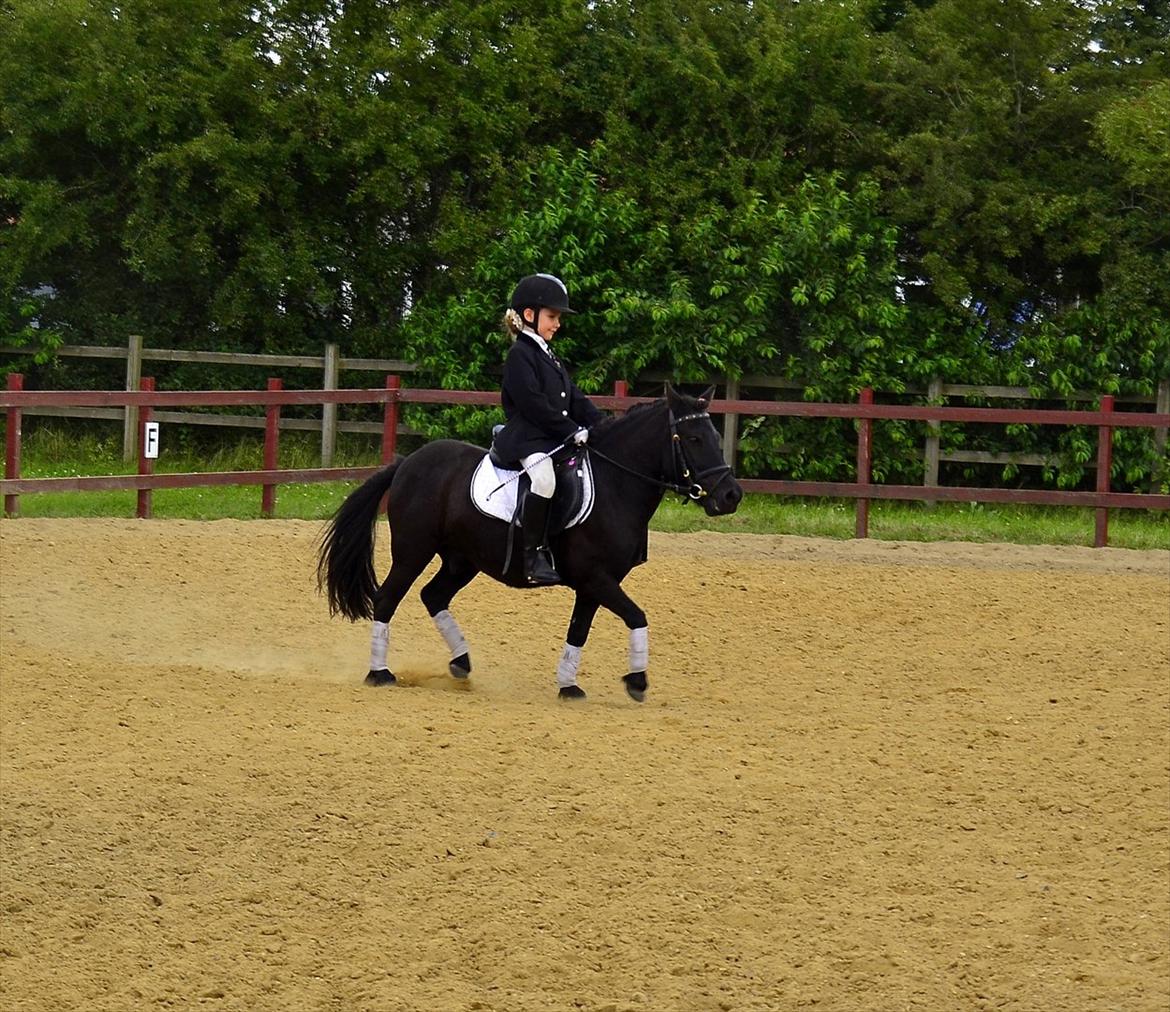 Shetlænder bs(har redet) - bs og jytte til pony uge 2011 billede 5
