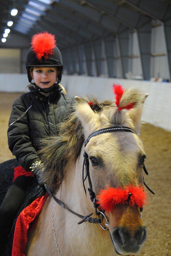 Anden særlig race Tikka - Stævne i børkop ( showklasse ) 
Et minde som var pinligt, fordi mit tæppe tøg af!! :(<3 billede 3