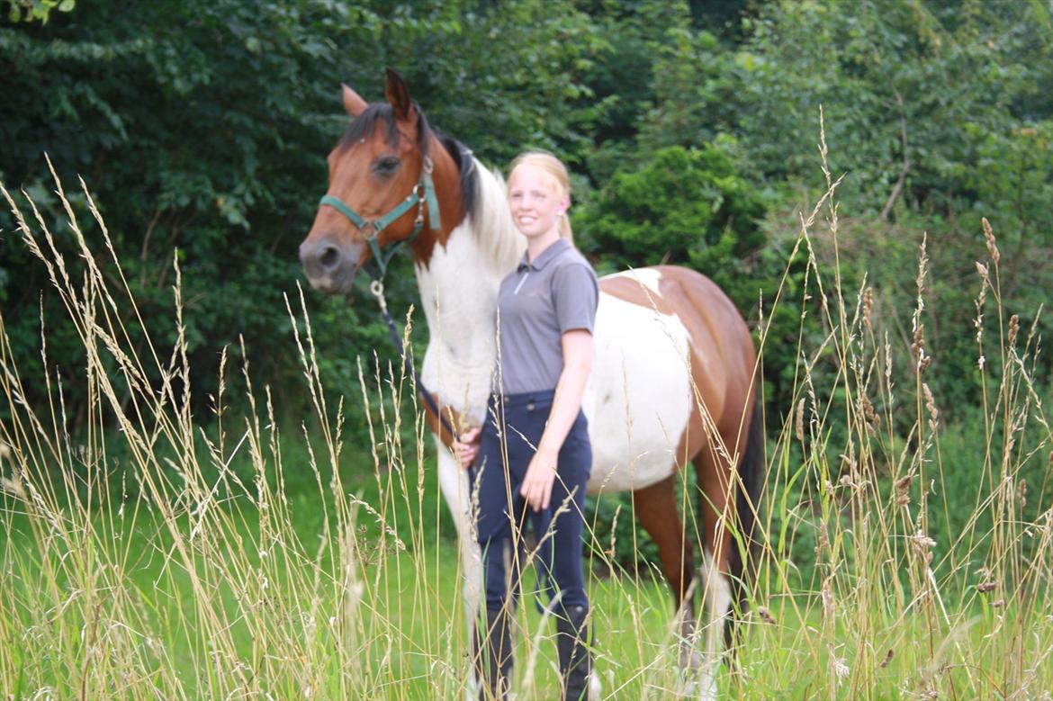 Pinto Boye billede 2