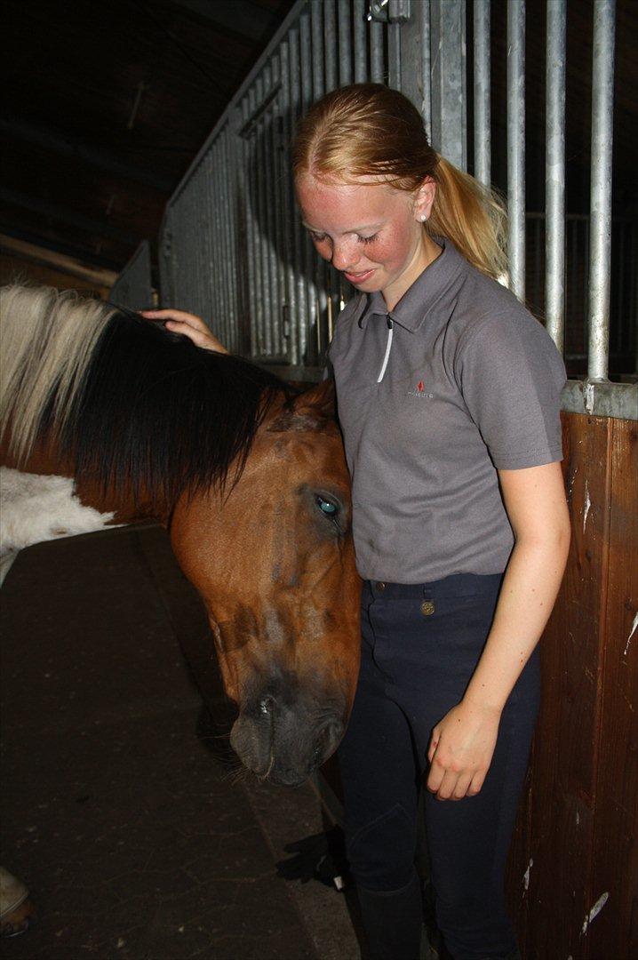 Pinto Boye billede 14