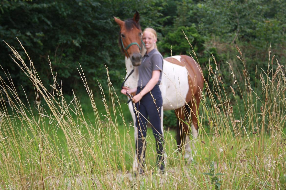 Pinto Boye billede 17