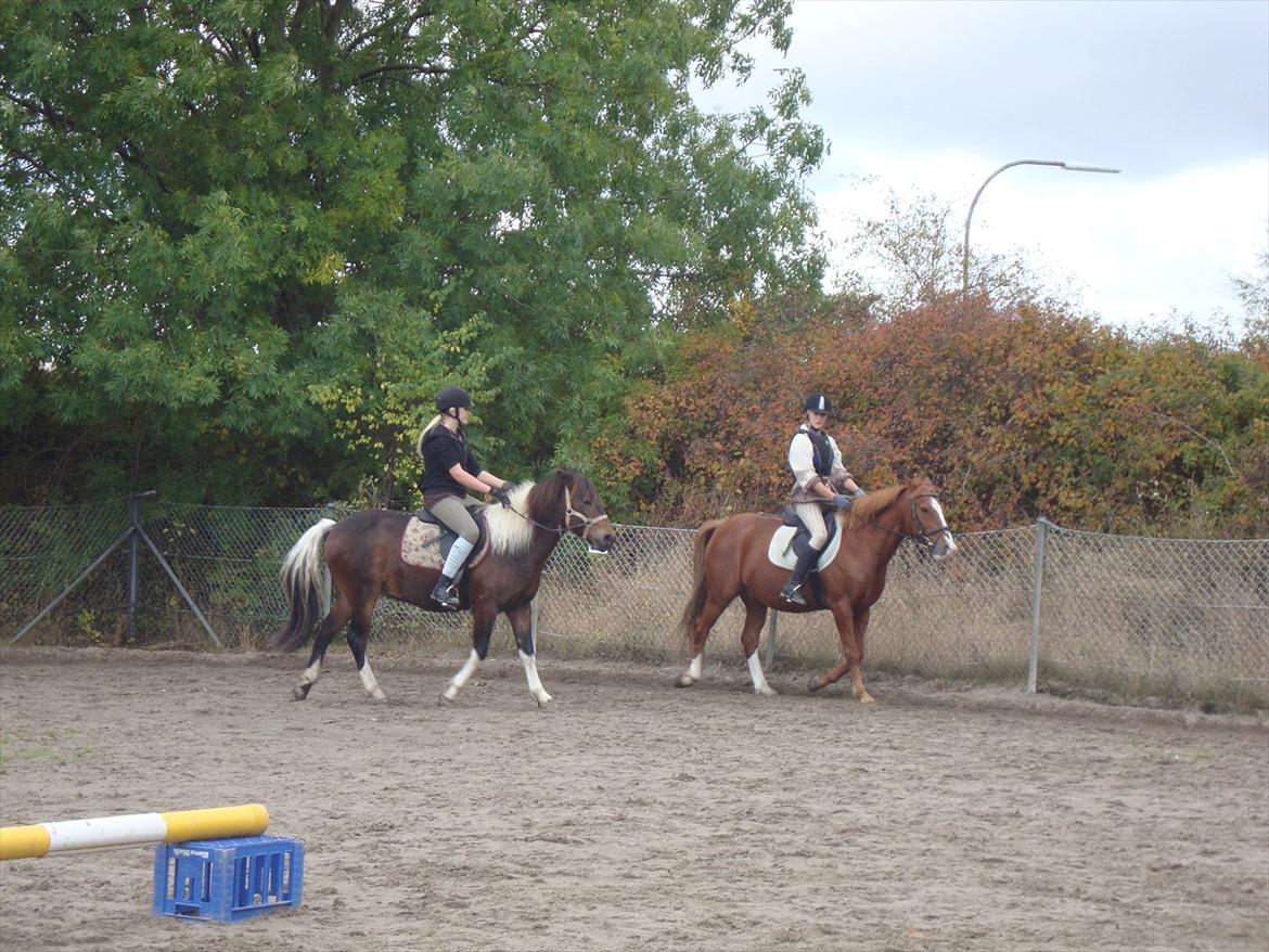 Anden særlig race WhiteSocks - Mig og Cirkel rider, meget lang tid siden! billede 15