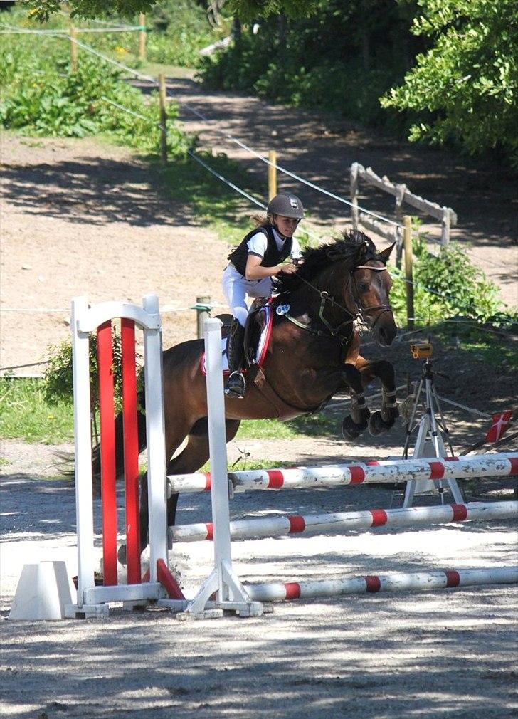 Connemara Hedehusets Ragout*B-Pony* - Egene ridecenter en 1,2 og 3.plads med hjem ud af 4 klasser Så 3 ud af 4:-)<3<3<3 Foto: KrS-Photo billede 2