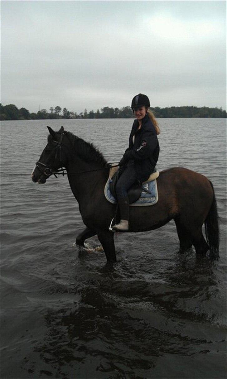 Holstener Jasmin billede 11