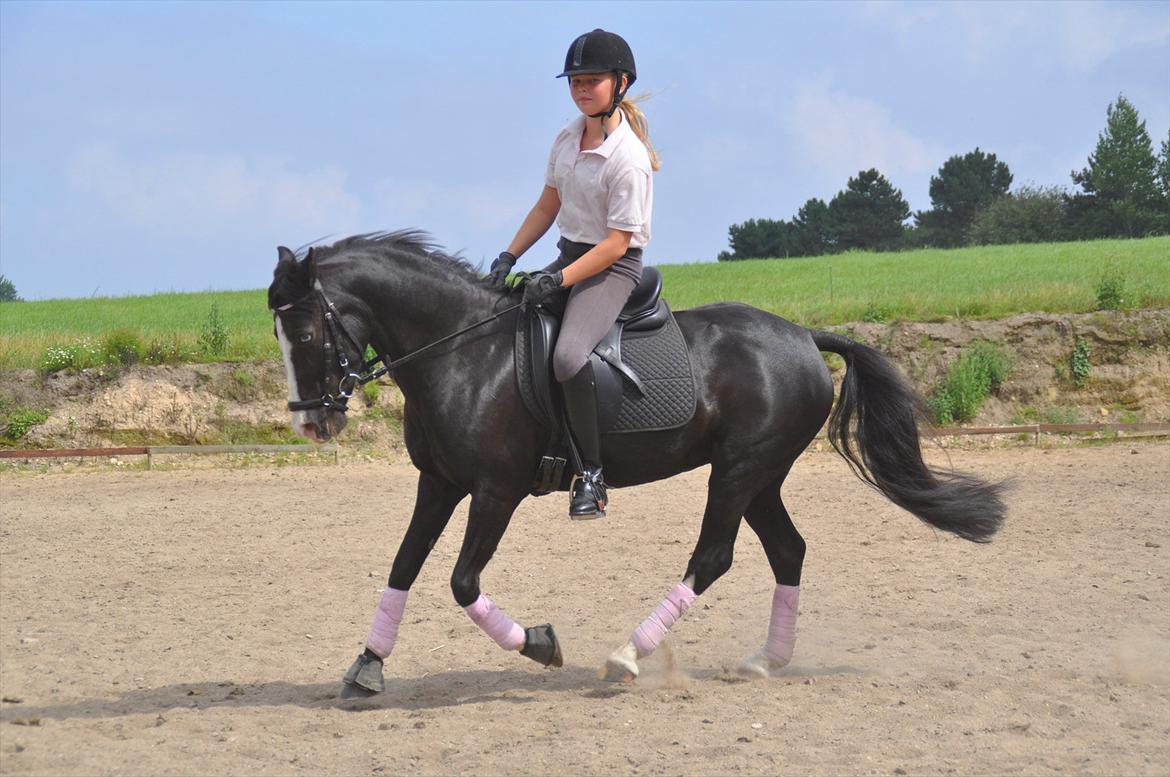 Anden særlig race Blue Eye´D Girl - A pony SOLGT! - 12. Mig og prut dressur træning d. 1 august 2011 <3 billede 12