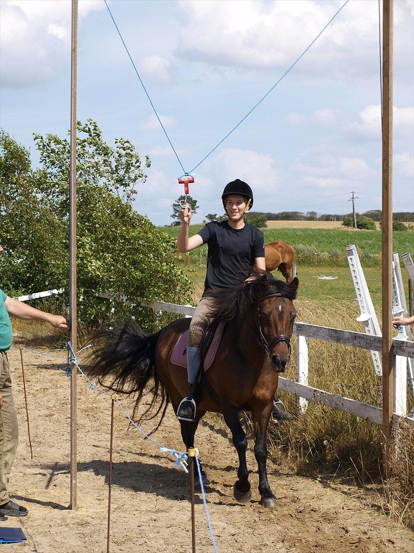 Anden særlig race Fiona - red - Fiona og jeg i ringridning til Spangbogaard Ridelejr 2010 :) Foto: Anita :) billede 16