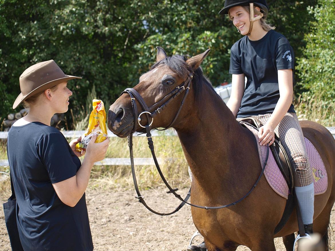 Anden særlig race Fiona - red - Da Fiona og jeg vandt ringridning konkurrence på Spangbogaard ridelejr 2010 :) Foto: Anita :) billede 17