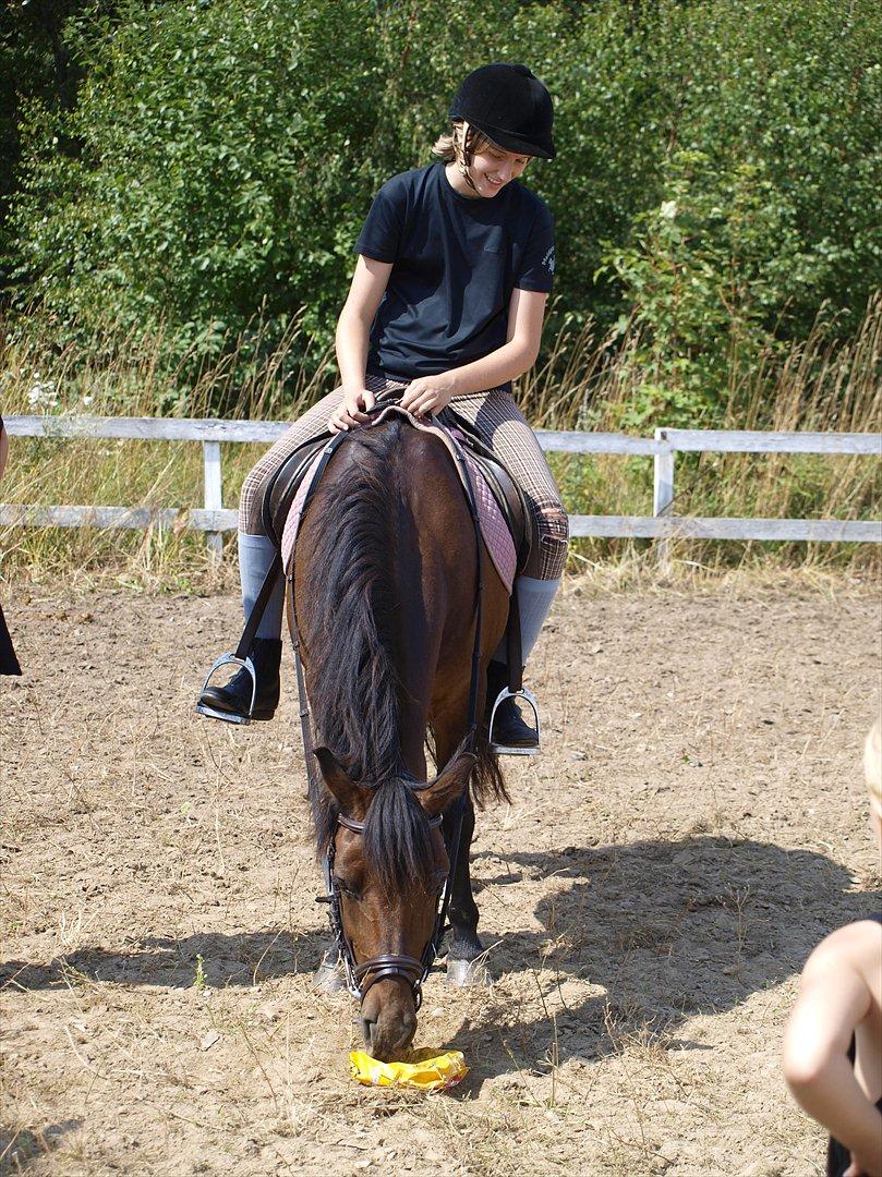 Anden særlig race Fiona - red - Fiona smadre posen, for at få godbidderne :D Foto: Anita :) billede 18
