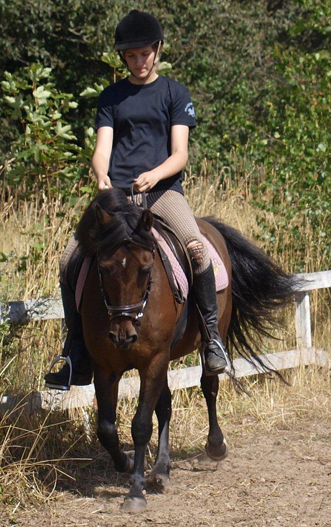 Anden særlig race Fiona - red - Opvarmning til ringridning, Spangbogaard Ridelejr 2010 :) billede 19